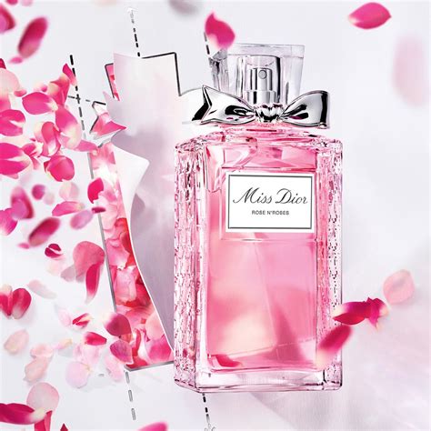 roses and roses dior|Dior perfume rose and roses.